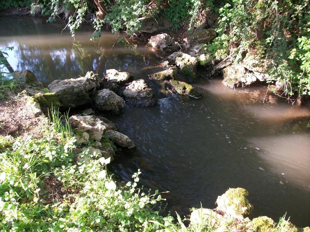 Aulnoy Chambre D'Hote Moulin Du Ru المظهر الخارجي الصورة